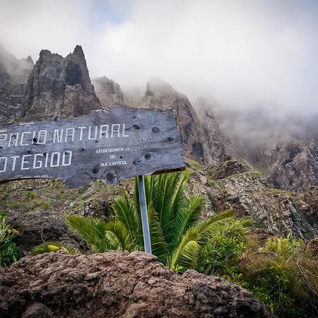 Ciruelo - Paz Y Senderos En Area Natural Protegida De Teno * Buenavista Del Norte